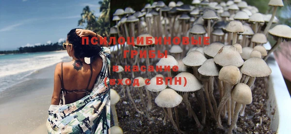 хмурый Богданович