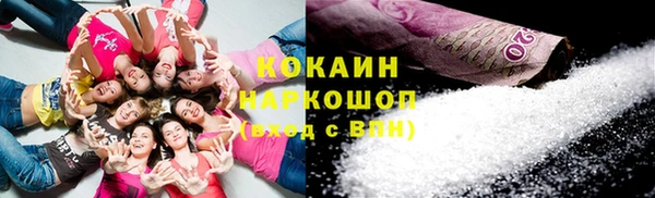СК Богородск