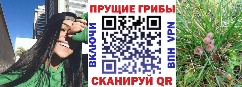Псилоцибиновые грибы мухоморы  это какой сайт  Наро-Фоминск 