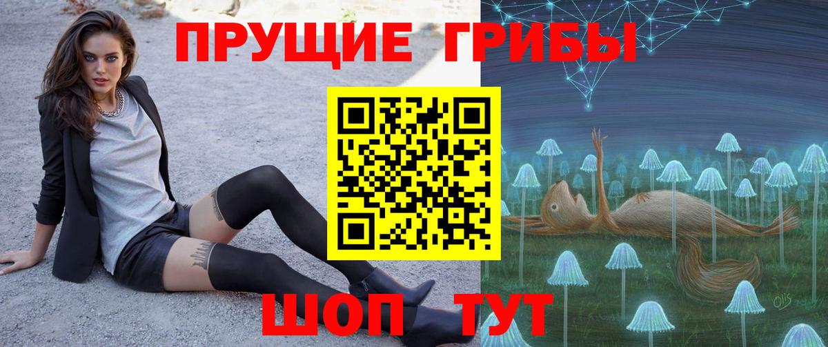 Псилоцибиновые грибы GOLDEN TEACHER Наро-Фоминск